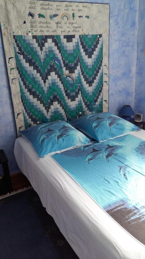 Les Hibiscus Bed & Breakfast Saint-Jean-le-Centenier Ngoại thất bức ảnh