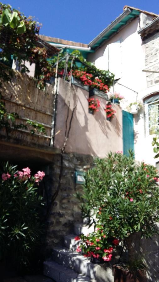 Les Hibiscus Bed & Breakfast Saint-Jean-le-Centenier Ngoại thất bức ảnh